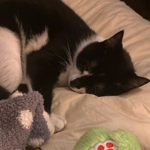 Meet your Posher, Catherine